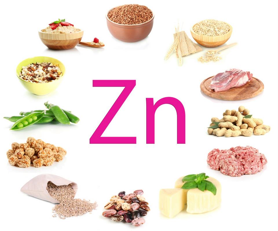 Zinc plays an important role in the function of growth, immunity, and reproduction