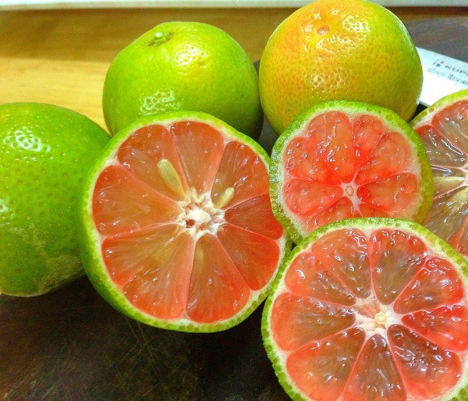  Lemon or grapefruit peels are useful to help us clean the sink